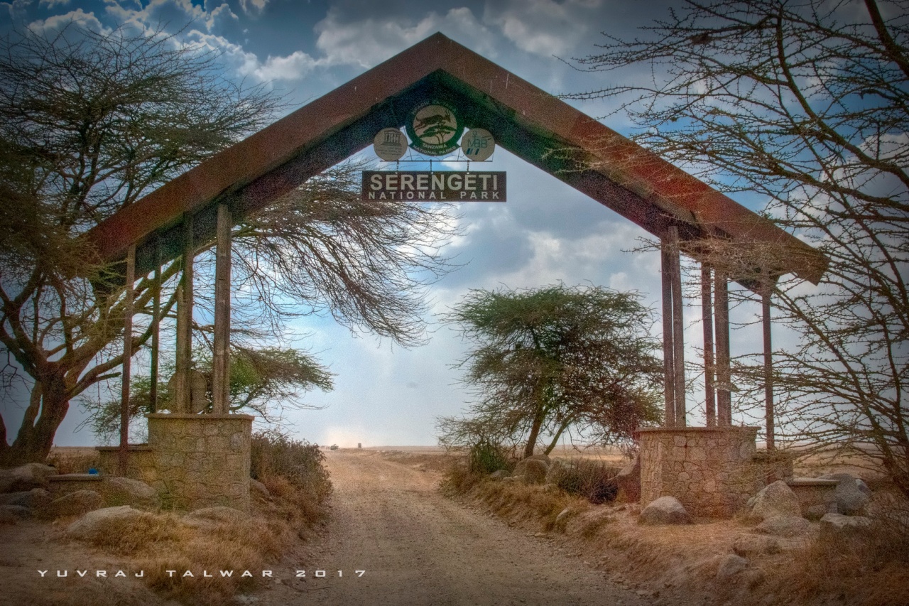 Serengeti - DSC_6710__1__2_tonemapped